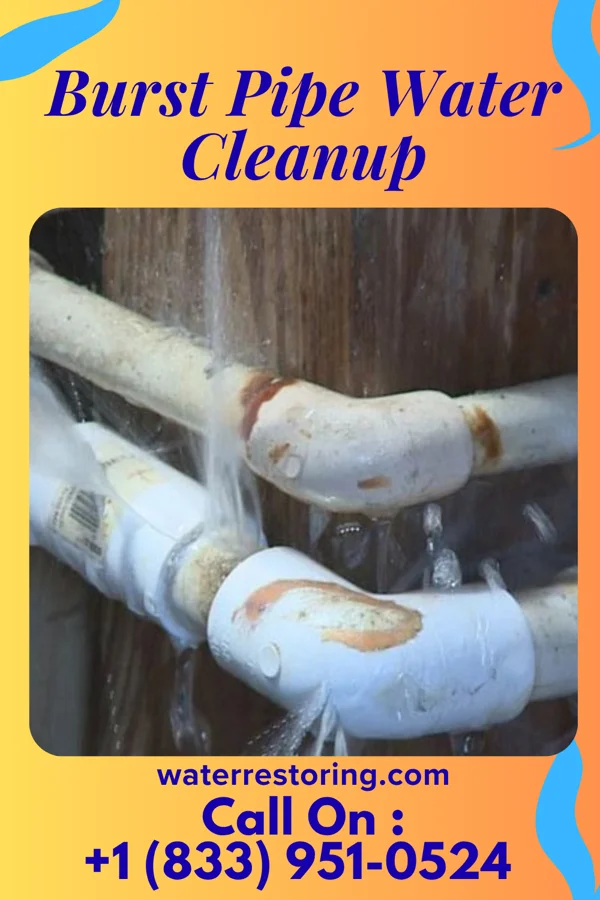 Burst Pipe Water Cleanup in Fairview, MD