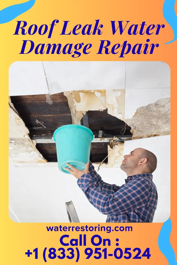 Roof Leak Water Damage Repair in Fairview, MD