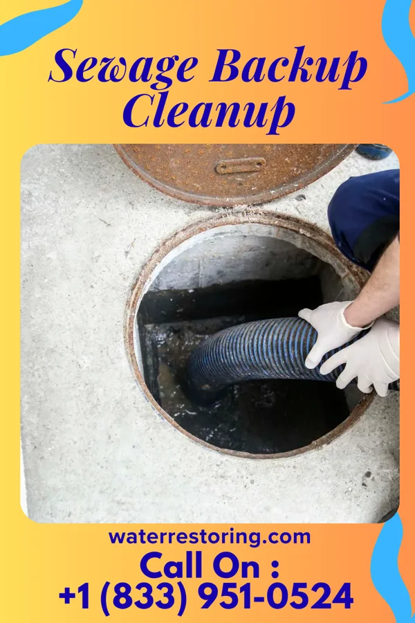 Sewage Backup Cleanup in Fairview, MD