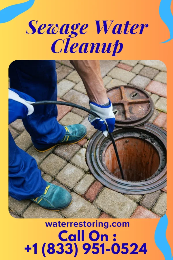 Sewage Water Cleanup in Fairview, MD