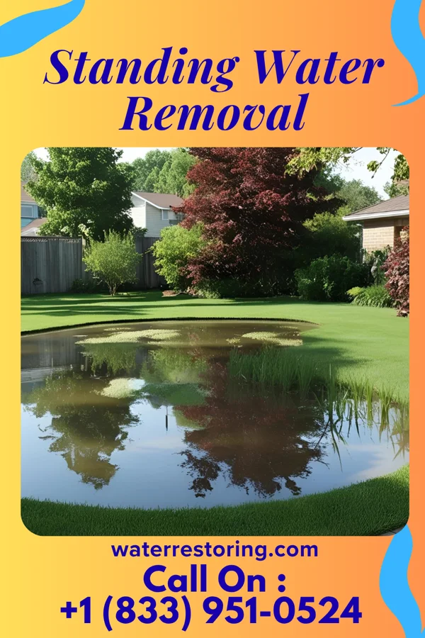 Standing Water Removal in Fairview, MD